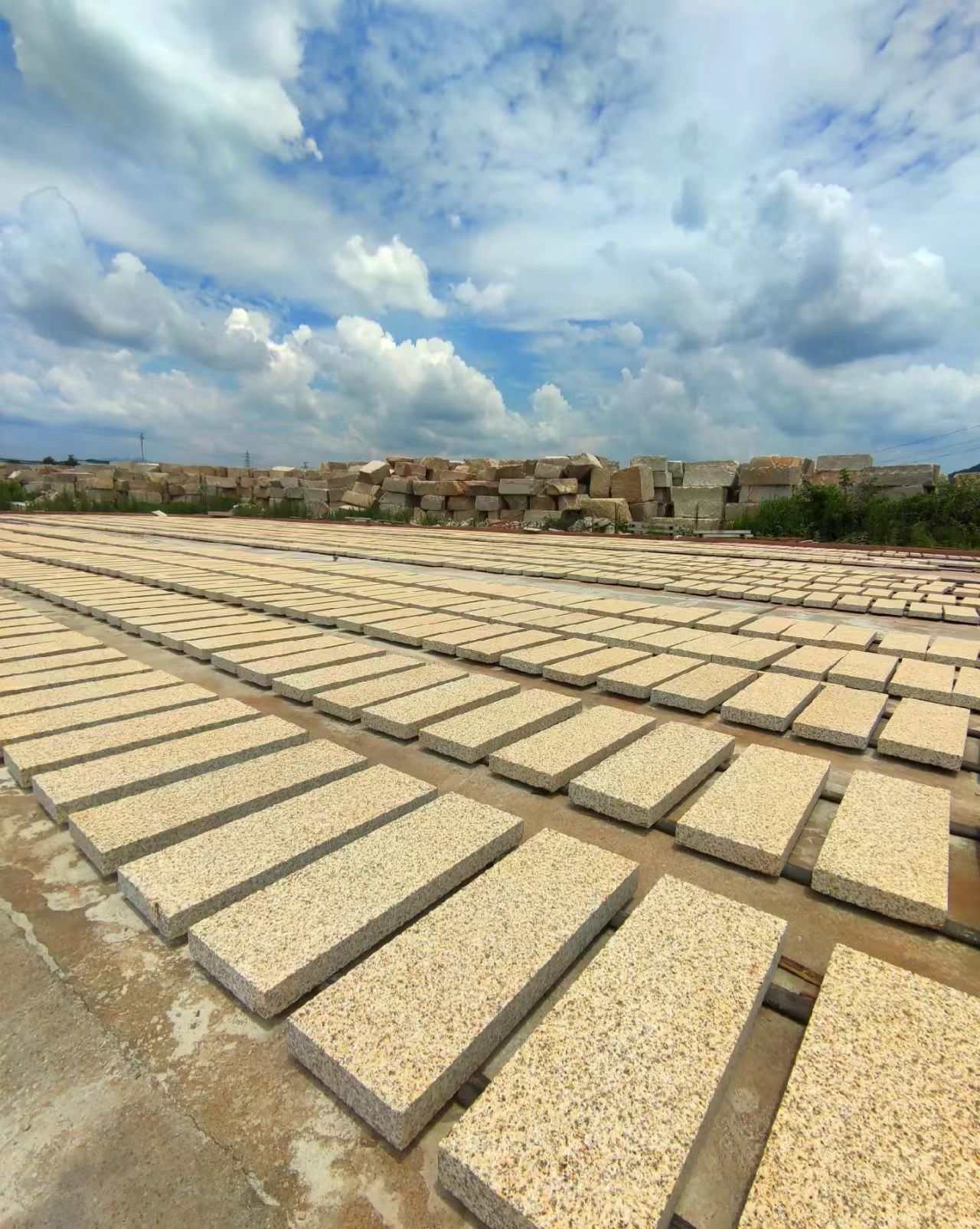 潮州 黄金麻花岗岩荔枝面地铺石防护中