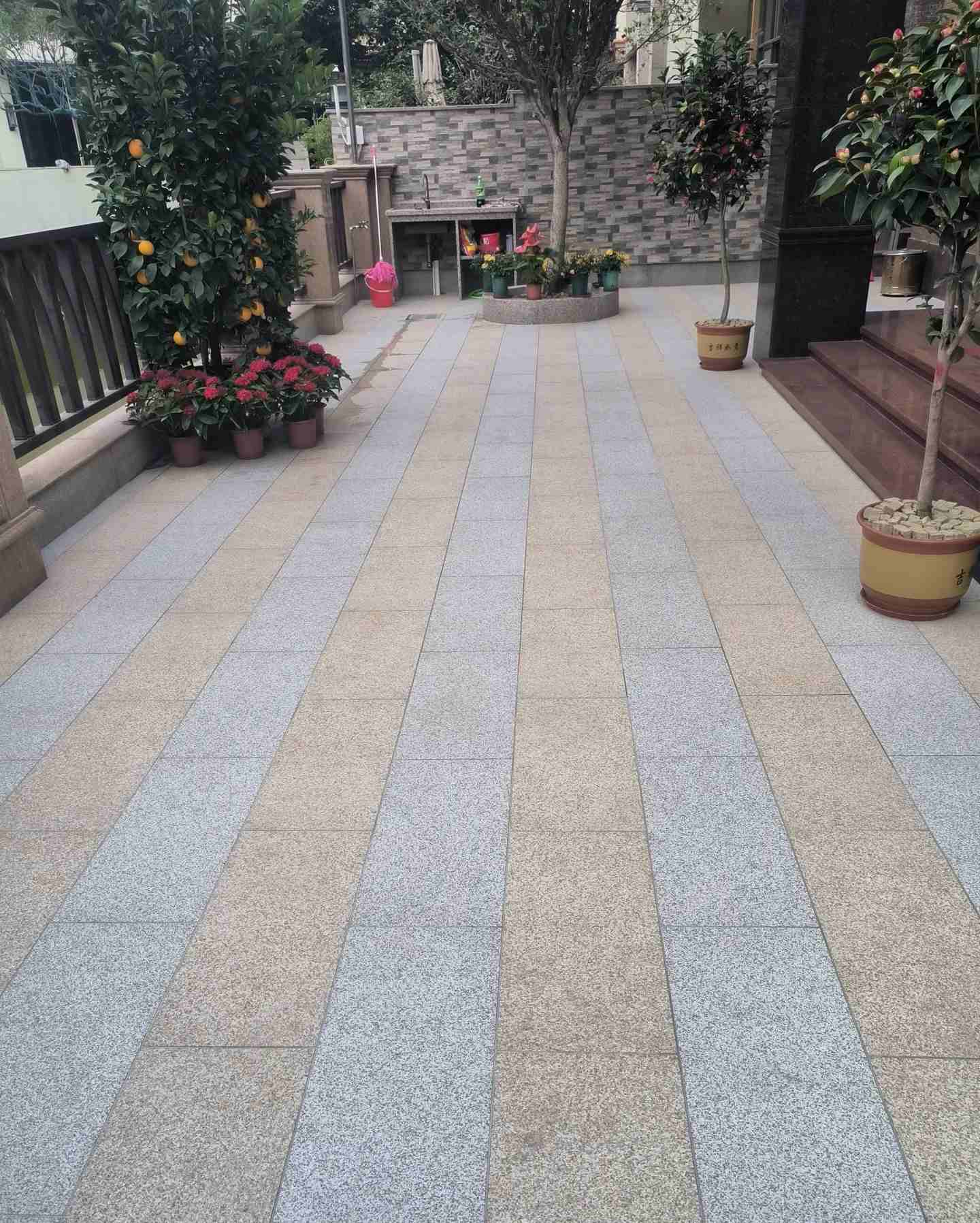 潮州 黄金麻白麻荔枝面庭院铺装展示